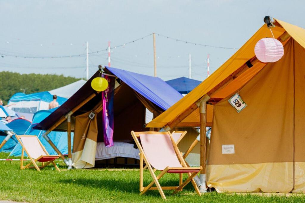 100 Jaar Tt Circuit Assen 2025 Glamping Incl Stroom 外观 照片